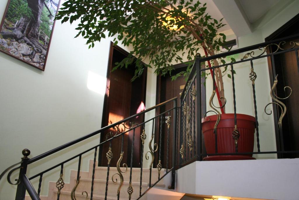 Family Hotel Zora Razlog Ngoại thất bức ảnh